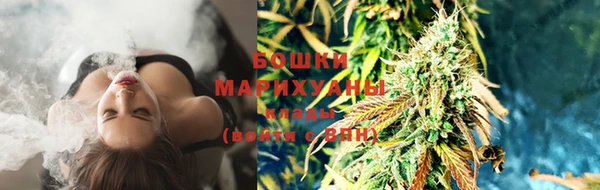 гидра Пестово