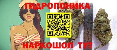 сатива Балахна