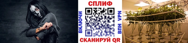 Бошки Шишки тримм кракен как зайти Тында