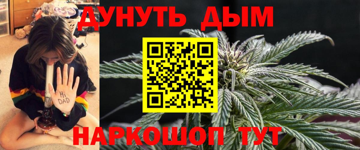 Конопля планчик Тында